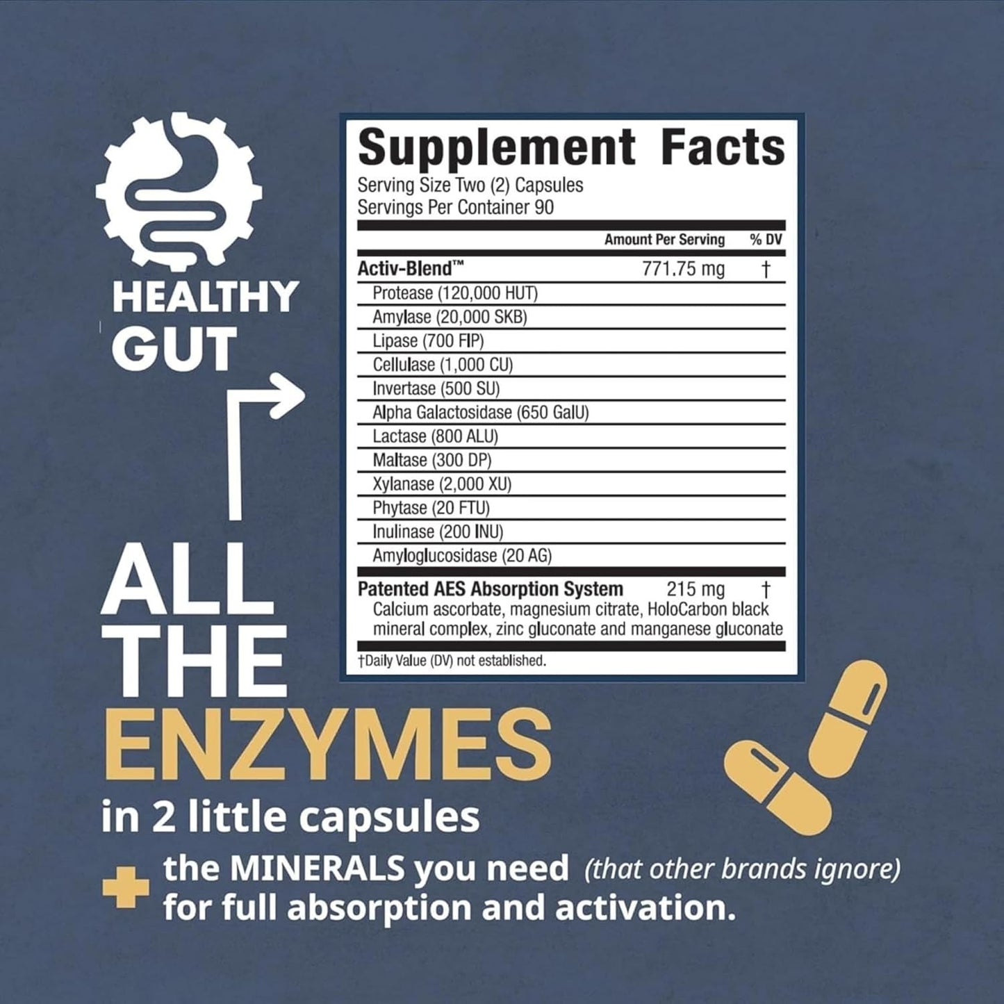 HoloZyme™ Digestive Enzymes 30 Count